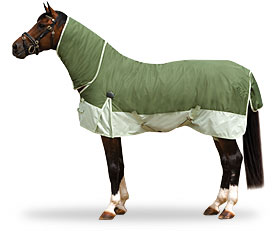 Horse Blanketͼ